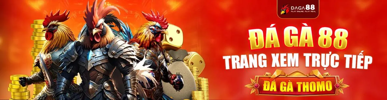 Gà chọi dũng mãnh trong trận đá gà trực tuyến v7club link mới