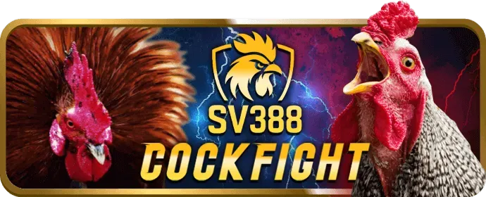 Chương trình hoàn trả cược đá gà v7club link mới